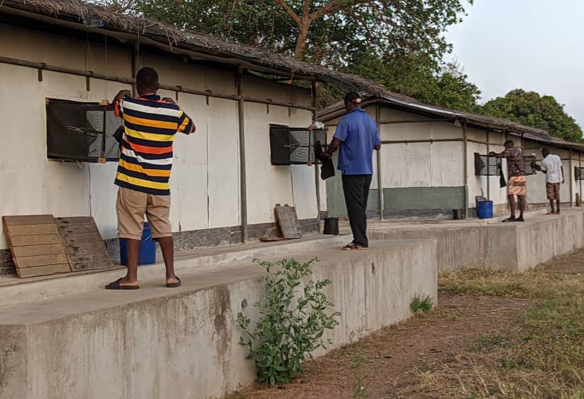 Field technicians collecting from window exit traps