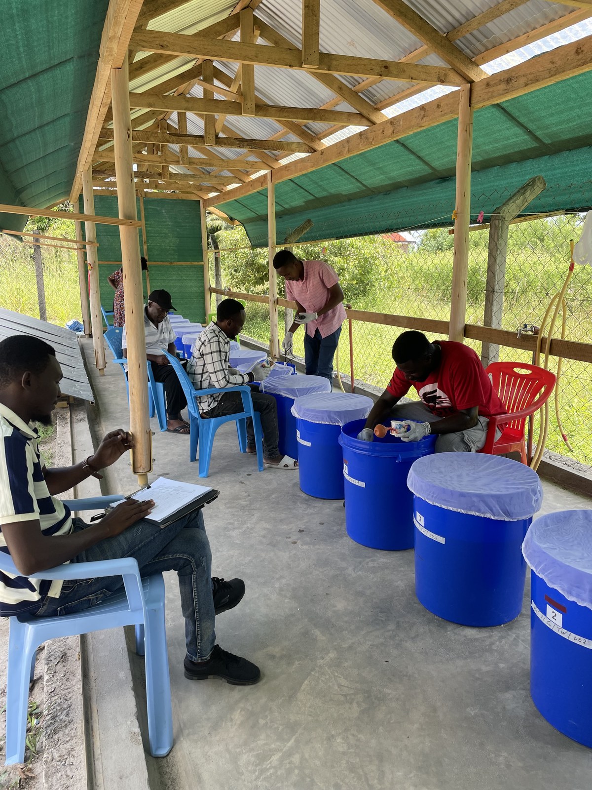 Phase II larvicide testing