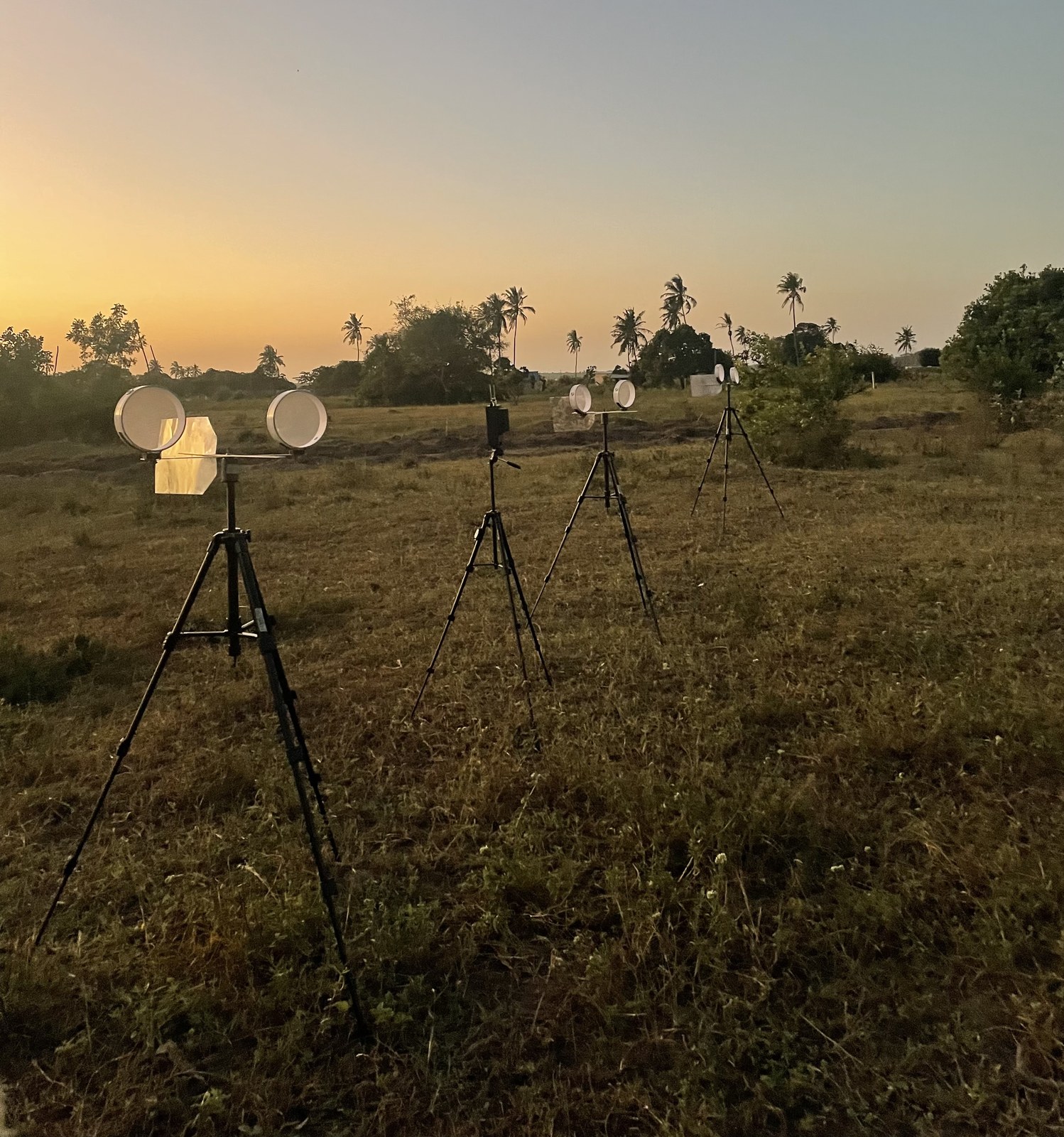 Space spray bioassay stations at dusk
