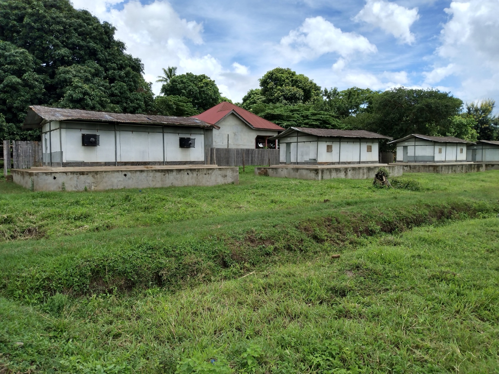 Ifakara huts — row of huts at field site