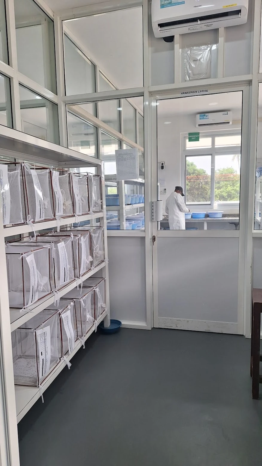 Insectary adult caging room
