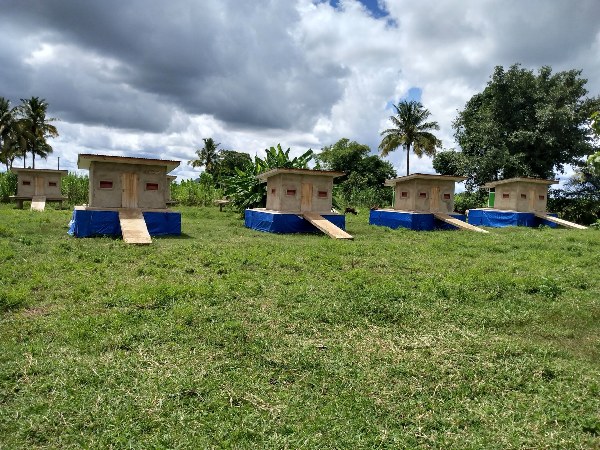 West African style huts
